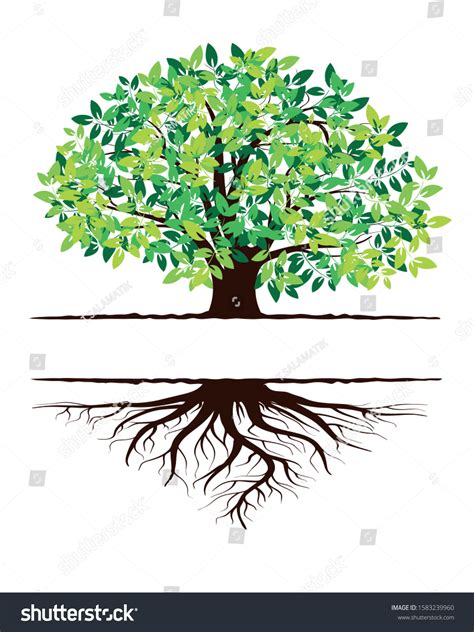 Green Tree Silhouette Isolated On White Stock Vector (Royalty Free ...