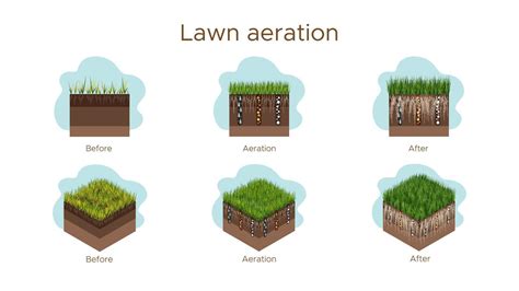 Lawn Care Aeration And Scarification Labels By Stage Before During