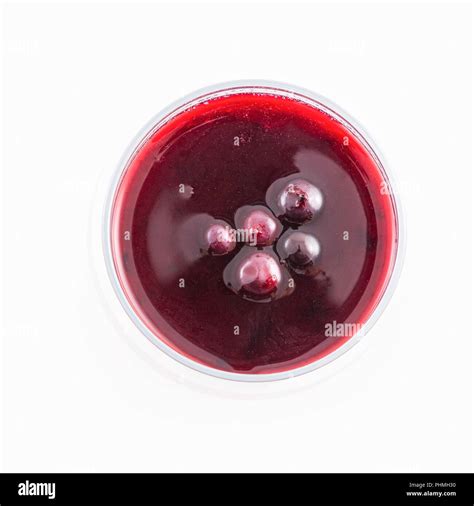 Meal And Desert Hi Res Stock Photography And Images Alamy