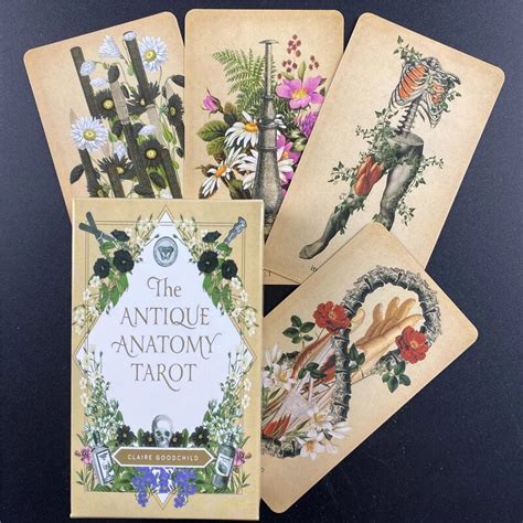 The Antique Anatomy Tarot Cards Deck Full English Oracle Etsy