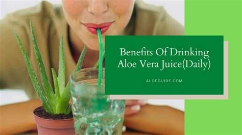 8 Amazing Benefits Drinking Aloe Vera Juice Aloe Guide