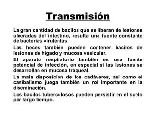 LA TUBERCULOSIS DEFINICION CAUSAS TRATAMIENTO PPT