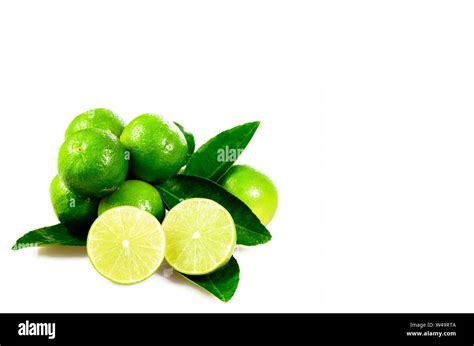 Seedless Organic Lime Fruits Citrus Aurantifolia Isolated On White