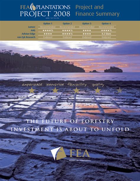project  project  finance summary