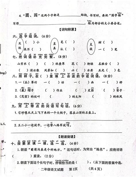 山东省济宁市嘉祥县2023 2024学年二年级上学期11月期中语文试题 教习网试卷下载