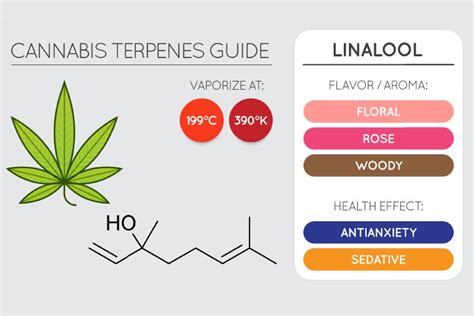 The Best Terpenes For Pain Green Goddess Collective