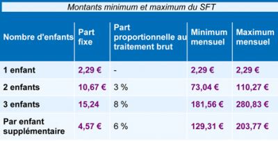 Suppl Ment Familial De Traitement Sft Snasub Fsu