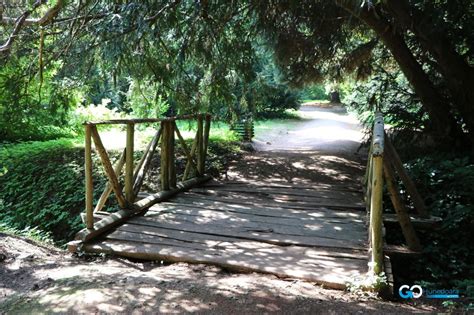 Parcul Dendrologic De La Simeria Go Hunedoara