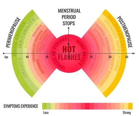 Stages Of Menopause Infographic — Stock Vector © Annyart 184847964