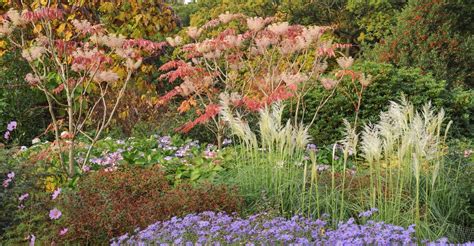 Tidying the Autumn Garden