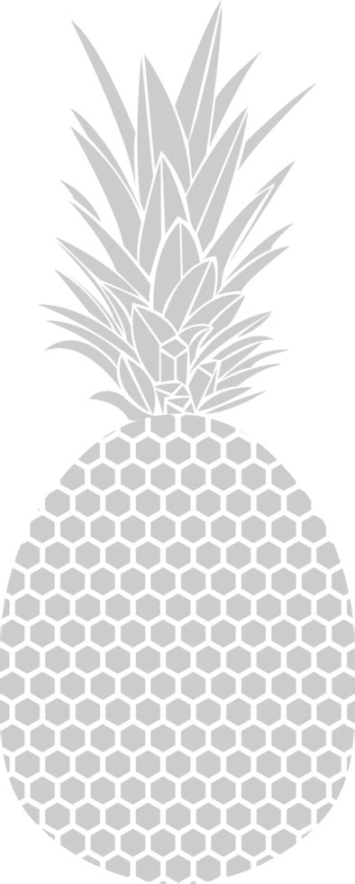 Pineapple 36660764 Vector Art At Vecteezy