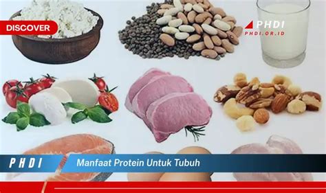 Temukan 7 Manfaat Protein Untuk Tubuh Yang Bikin Kamu Penasaran