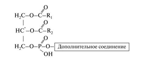 ФОСФОЛИПИДЫ (ФОСФАТИДЫ) - Основы биохимии