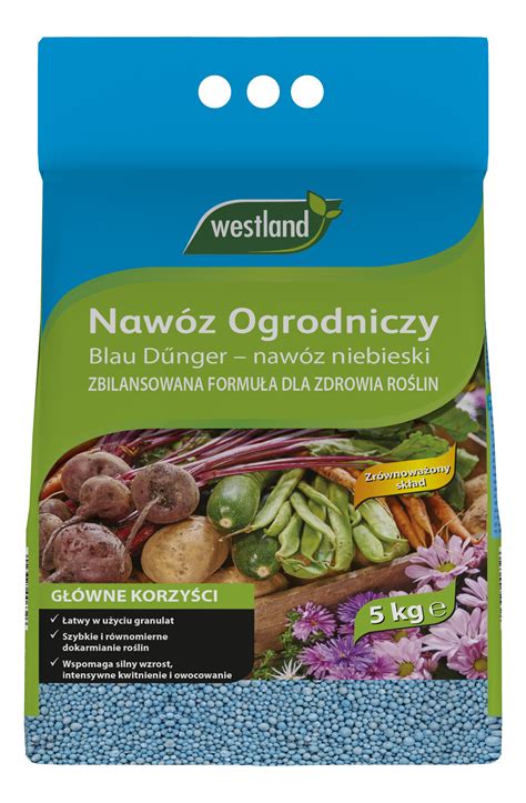 Naw Z Niebieski Kg Westland Bricomarche Pl