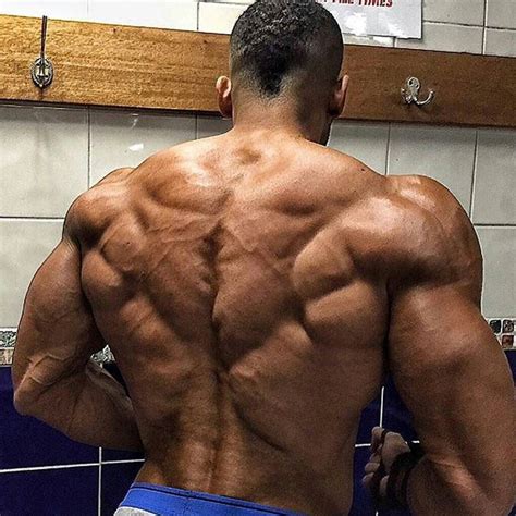 The Best Bodybuilding Back 2022 Fit