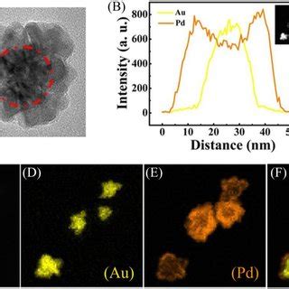 Raman Spectra Of A As Synthesized Au Pd Core Shell Nfs With The