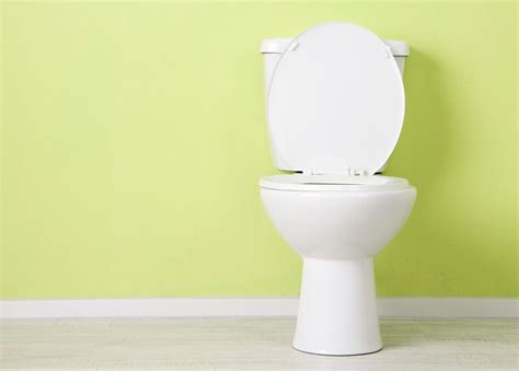 Clean Your Toilet: 4 Ways | Electric Drain