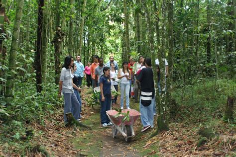 21 de marzo Día Internacional de los Bosques Centro de Gestión Ambiental