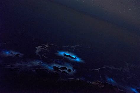 Amazing Photos Of Bioluminescent Phytoplankton Glowing Blue In The Sea