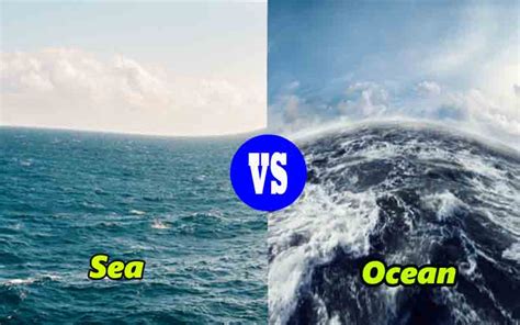 What Is The Difference Between Sea And Ocean All Zone