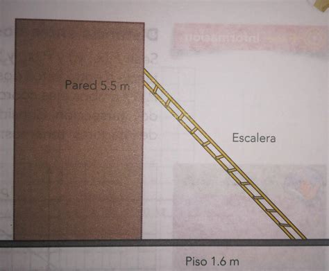 Una Escalera Est Recargada En La Pared For Mando Un Tri Ngulo