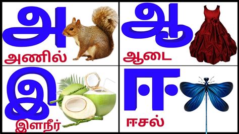 உயிர் எழுத்துக்கள் மெய் எழுத்துக்கள் உயிர்மெய் எழுத்துக்கள் Tamil Letters Tamil