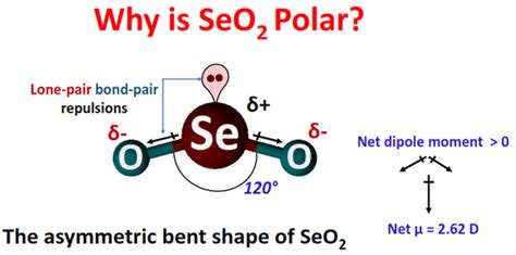 Is Seo2 Polar Or Nonpolar Polarity Of Selenium Dioxide