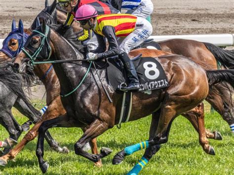 【函館記念】26年ぶりの牝馬vなるか 連勝中のエンパイアウエストが重賞初挑戦だ 競馬ニュース Netkeiba