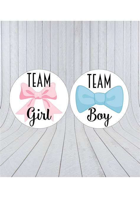 Team Boy Team Girl Stickers Gender Reveal Stickers Team Pink Team