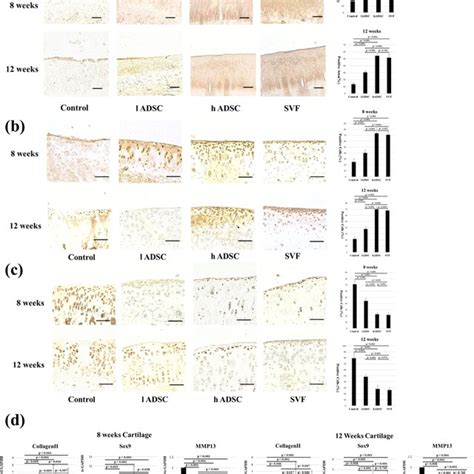 A Immunohistochemical Analysis Of Cd86 And Cd163 In Synovial Tissue Download Scientific