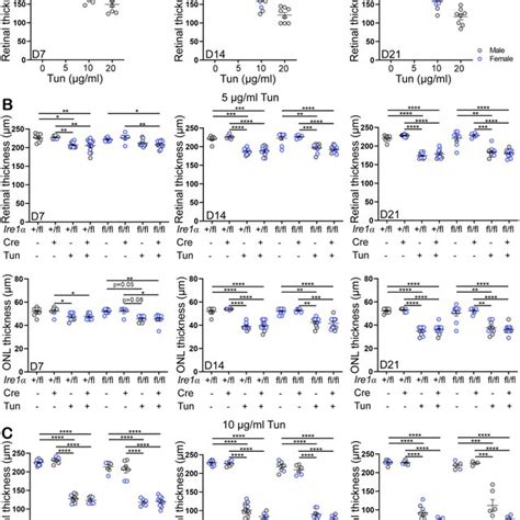 Fig S4 Sex Does Not Influence Retinal Thickness In Response To Download Scientific Diagram