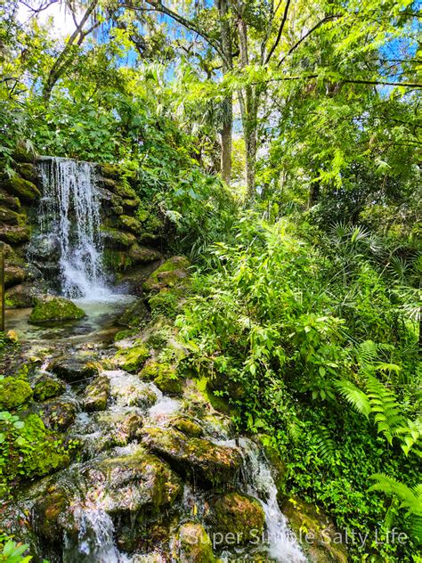 Top Things To Do While Camping In Rainbow Springs • Florida • The Simple Salty Life