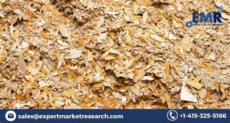 Global Wood Pulp Market Size Share Industry Growth Analysis