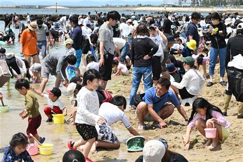 親子で潮干狩り 海水浴場にぎわう 産経ニュース