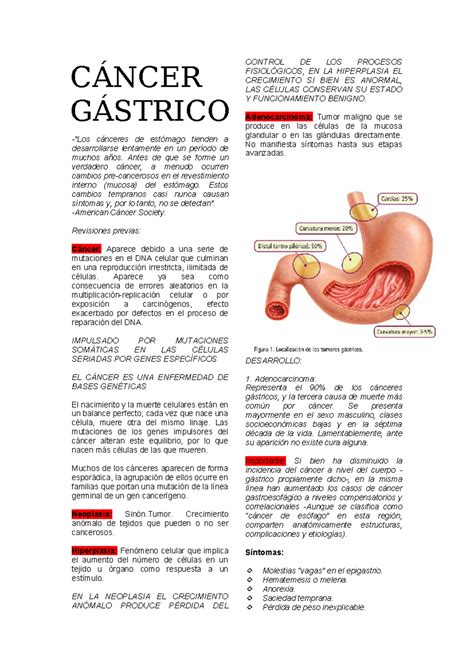 C Ncer G Strico Definici N Y Semiolog A Los C Nceres De Est Mago