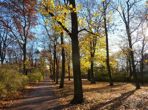 Urban Nature - Seeing Nature