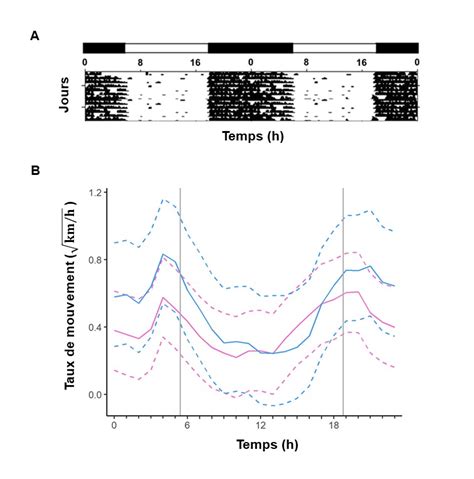 12 Les rythmes biologiques Écophysiologie évolutive