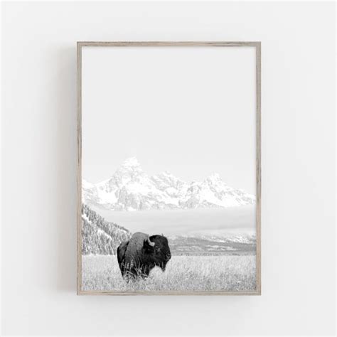 Bison Wall Art Buffalo Print Wilderness Photography Southwest Etsy