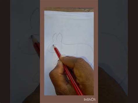 How to draw Rabbit. khargosh drawing. sasa. - YouTube