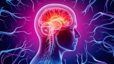 130 Funny Nervous System Puns Jokes And One Liners