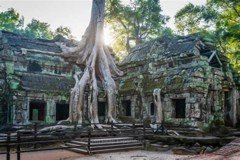 Siem Reap Angkor Wat Sunset Guided Day Tour Getyourguide