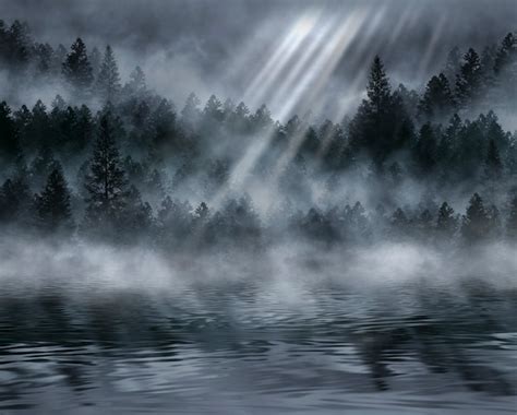 Premium Photo | Foggy dark forest. fog, smog. wild forest nature ...