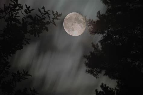 Spooky Moon Free Photo Download | FreeImages