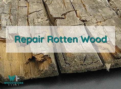 How To Repair Rotted Wood Learn How To Fix Like A Pro