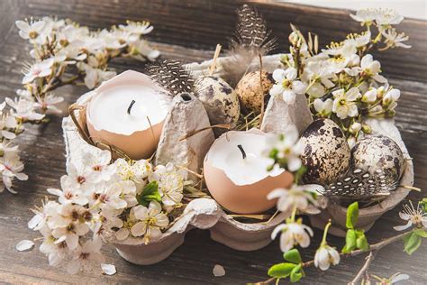 Basteln Mit Eierschalen Pflanzendeko Zu Ostern Gartenflora