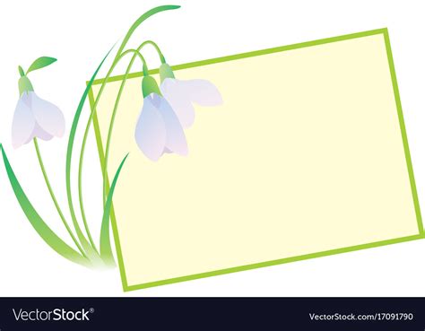 Snowdrop Flower Frame Royalty Free Vector Image