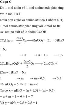 Hỗn hợp X gồm 1 mol amino axit no mạch hở và 1 mol amin no mạch hở