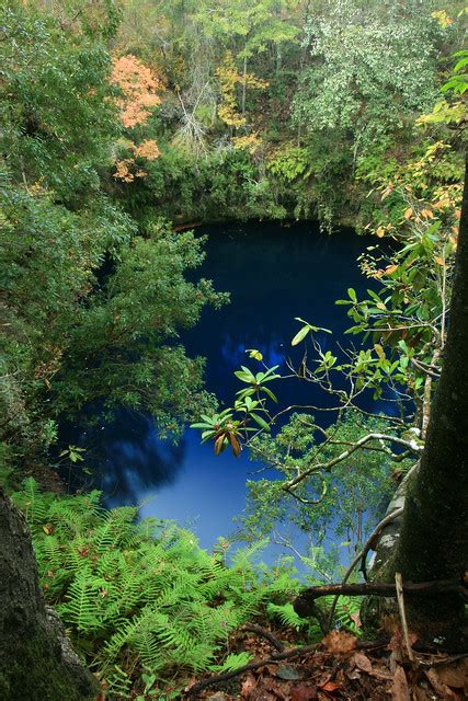 Big Dismal Sink Leon Sinks Geological Area Apalachicola National