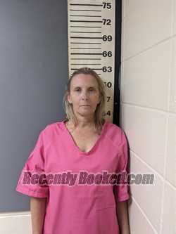 Recent Booking Mugshot For Amy Christine Wilson In Covington County