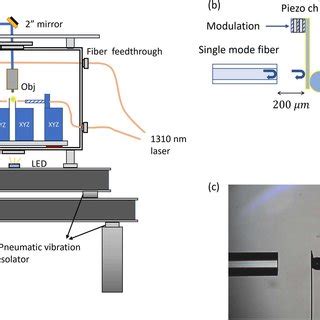 Experimental Setup A Schematic Of The Vacuum Casimir Force Detection